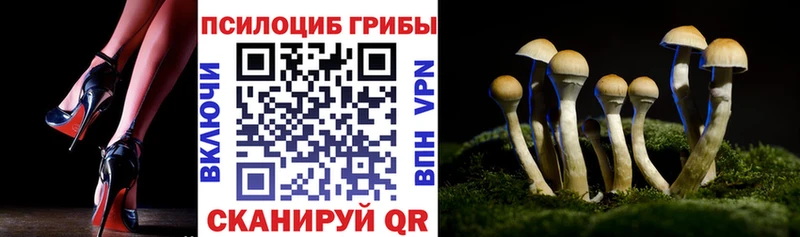 Галлюциногенные грибы Psilocybine cubensis  Черемхово 